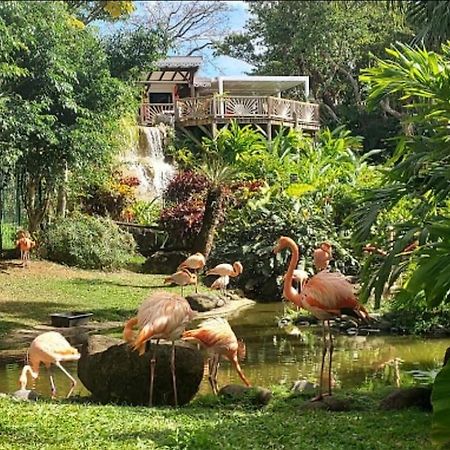 La Perle D'Alice Apartment เดเอ ภายนอก รูปภาพ