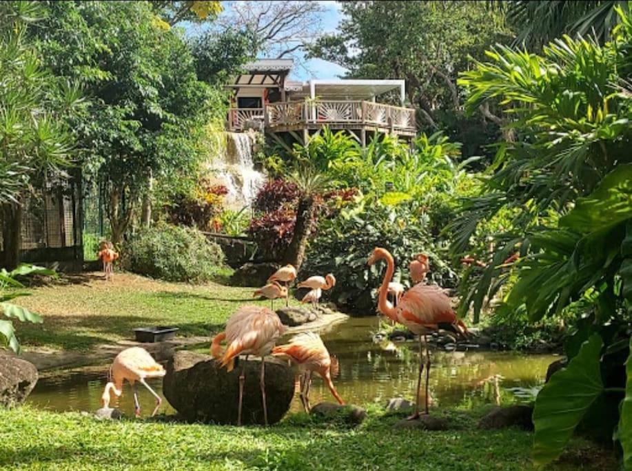La Perle D'Alice Apartment เดเอ ภายนอก รูปภาพ